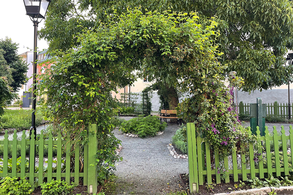Bild från parken vid Rådhusgården i Enköping som visar ett entrén vid staketet som omgärdas av gröna klängväxter.