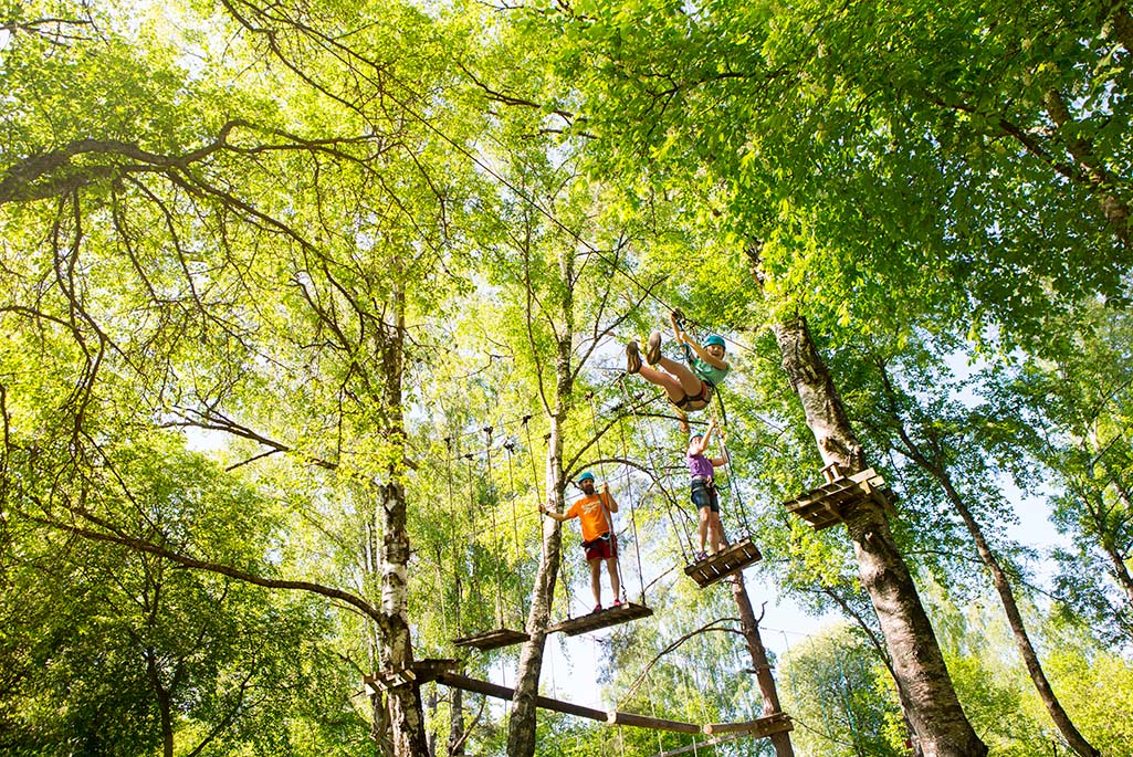 Foto på personer som klättrar i träd.