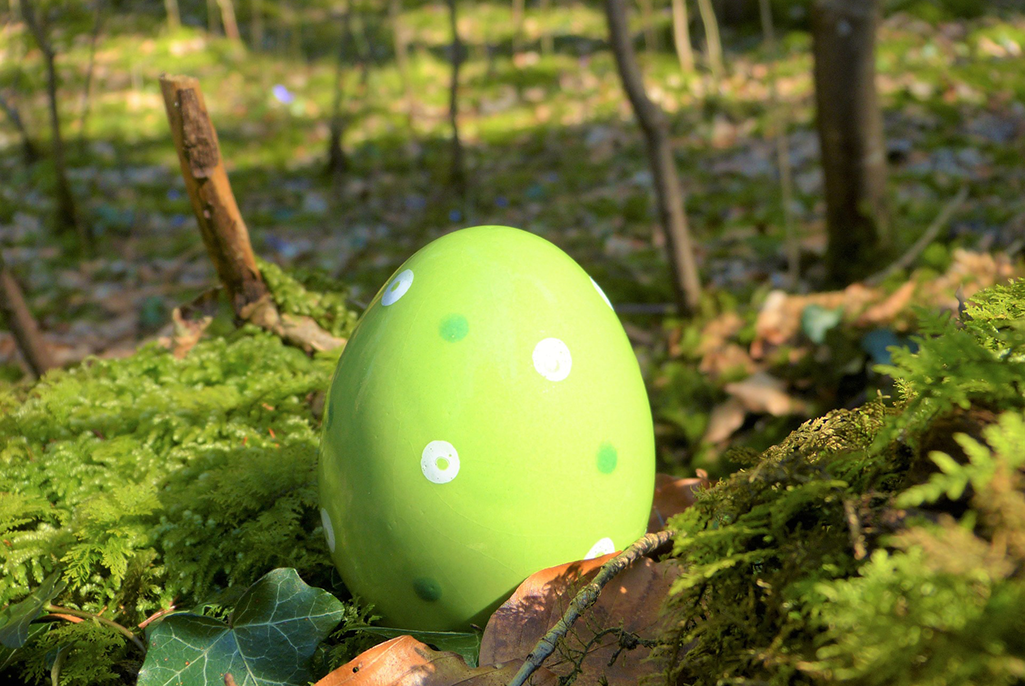 Ett grönmålat påskägg ligger ute i naturen på en bädd av mossa.