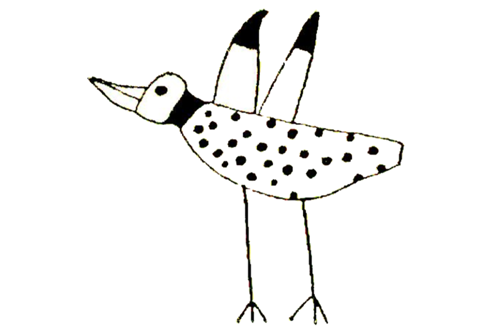 Illustration på en fågel skapad av Pelle Carlsson.