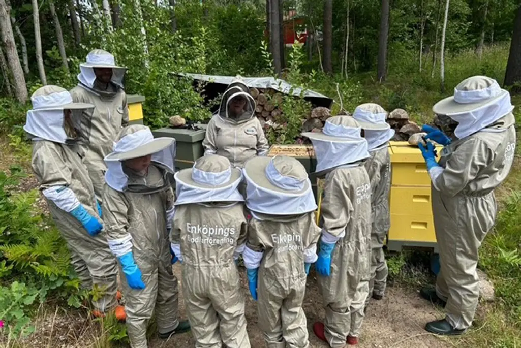 En grupp barn och tre vuxna i biodlardräkt står samlade kring fyra bikupor.