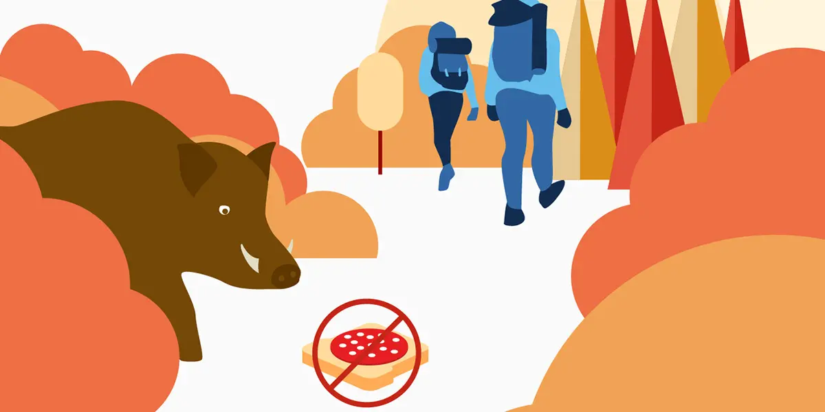 Illustration av vildsvin, två personer med ryggsäckar i skog samt en överkryssad korvsmörgås på marken.