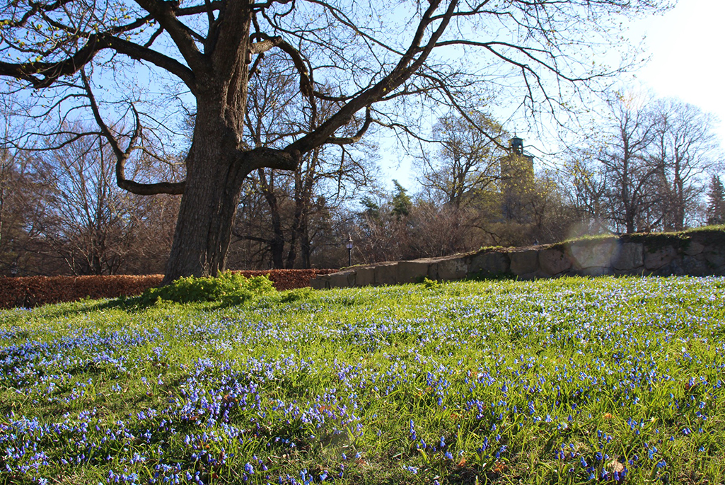 Foto på Skolparken under hösten.