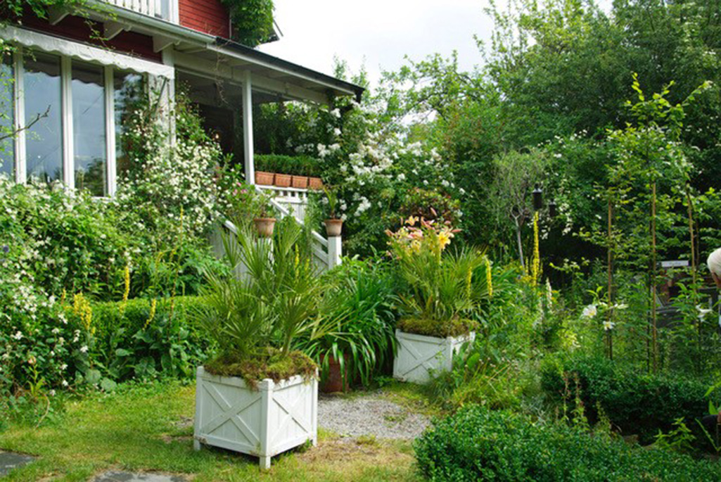 Bild på en grönskande trädgård.