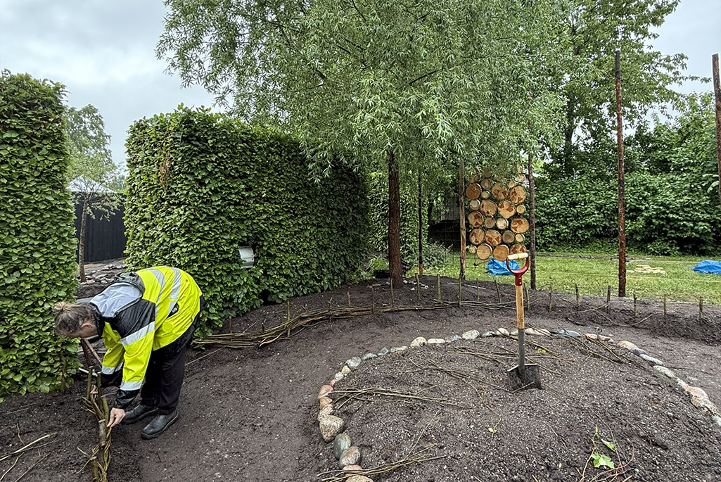 Översikt över en trädgård som byggs upp.