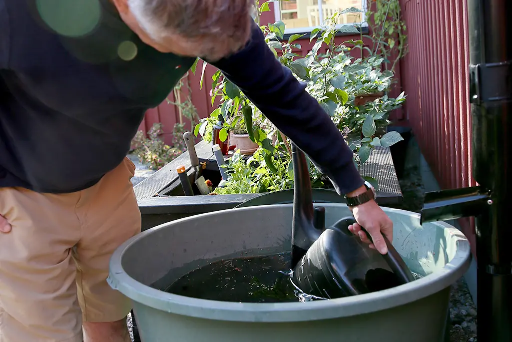 Grön vattentunna i plast och en man som doppar ner en svart vattenkanna för att hämta vatten. 