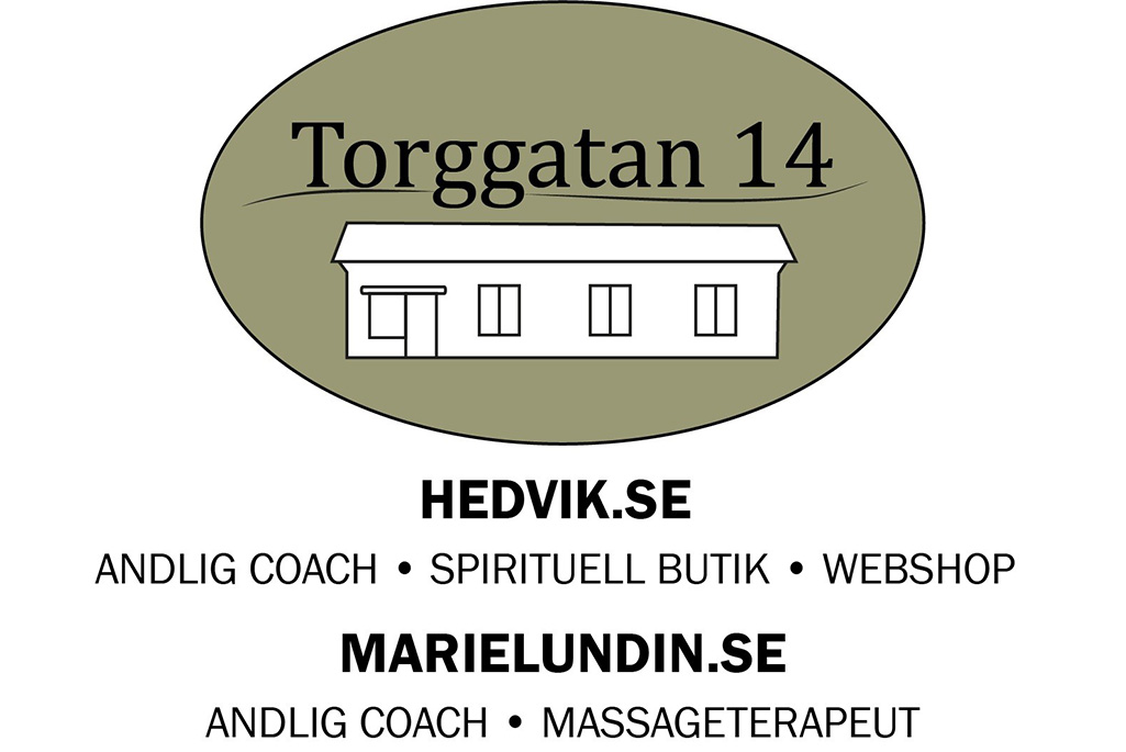 Bild på en logotyp där det står Torggatan 14 och där det finns ett illustrerat hus.